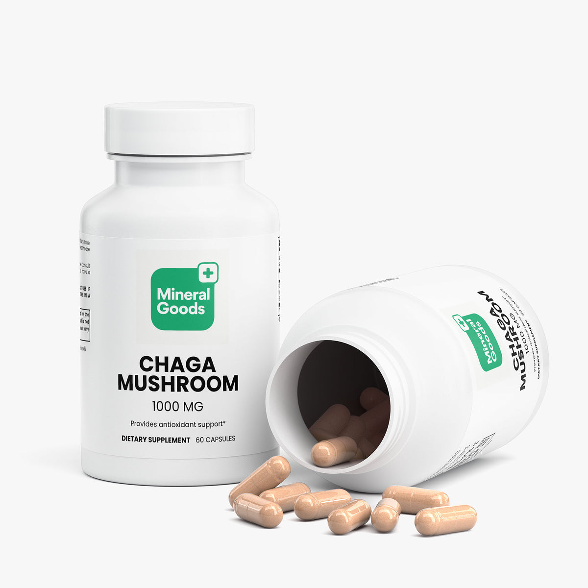 Chaga Mushroom