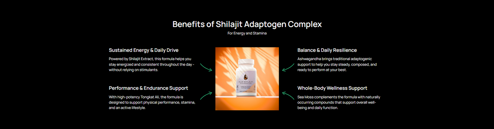 Shilajit Adaptogen Complex benefits